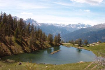 L'immagine raffigura il laghetto circondato da pini sito all'interno del parco.