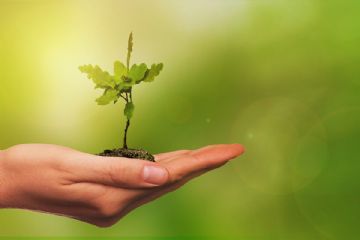 Procedura di finanza di progetto per realizzazione di impianti di produzione da fonti energetiche rinnovabili e di una comunità energetica rinnovabile