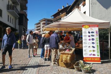 Torna la Sagra della Patata  a Sauze d’Oulx domenica 22 settembre con Mercatino dei Produttori locali.